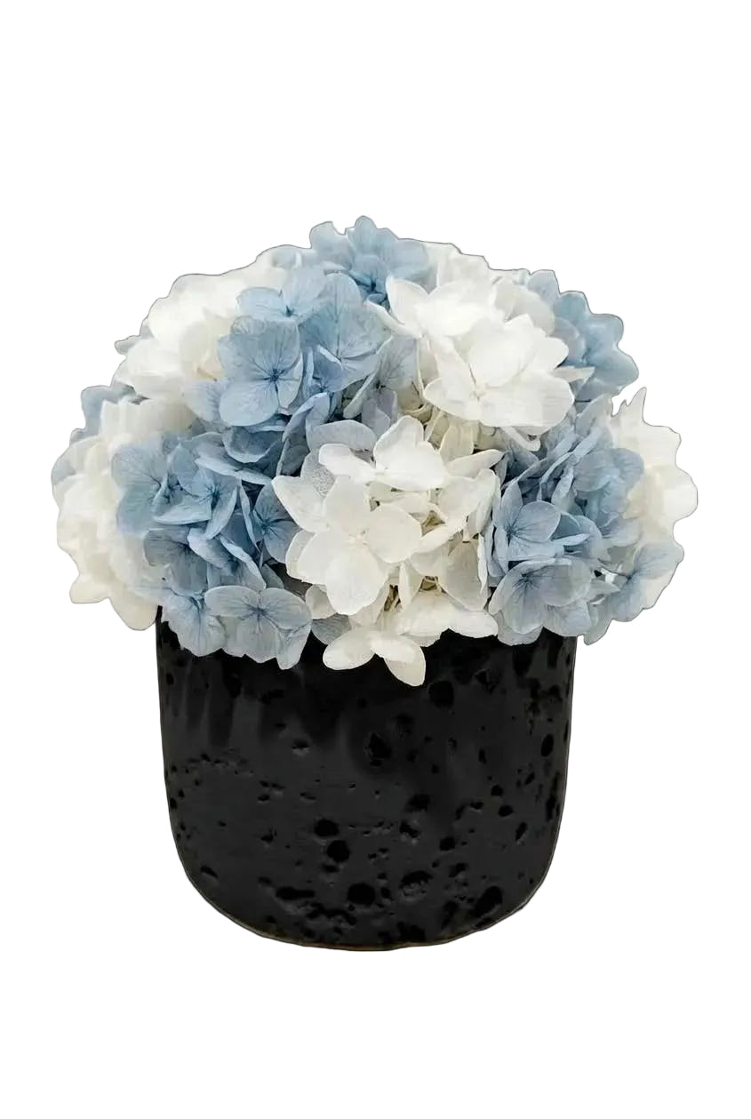 Petal Orb - Blue + White