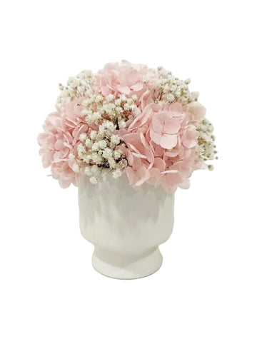 Harmony Set - Pink + White
