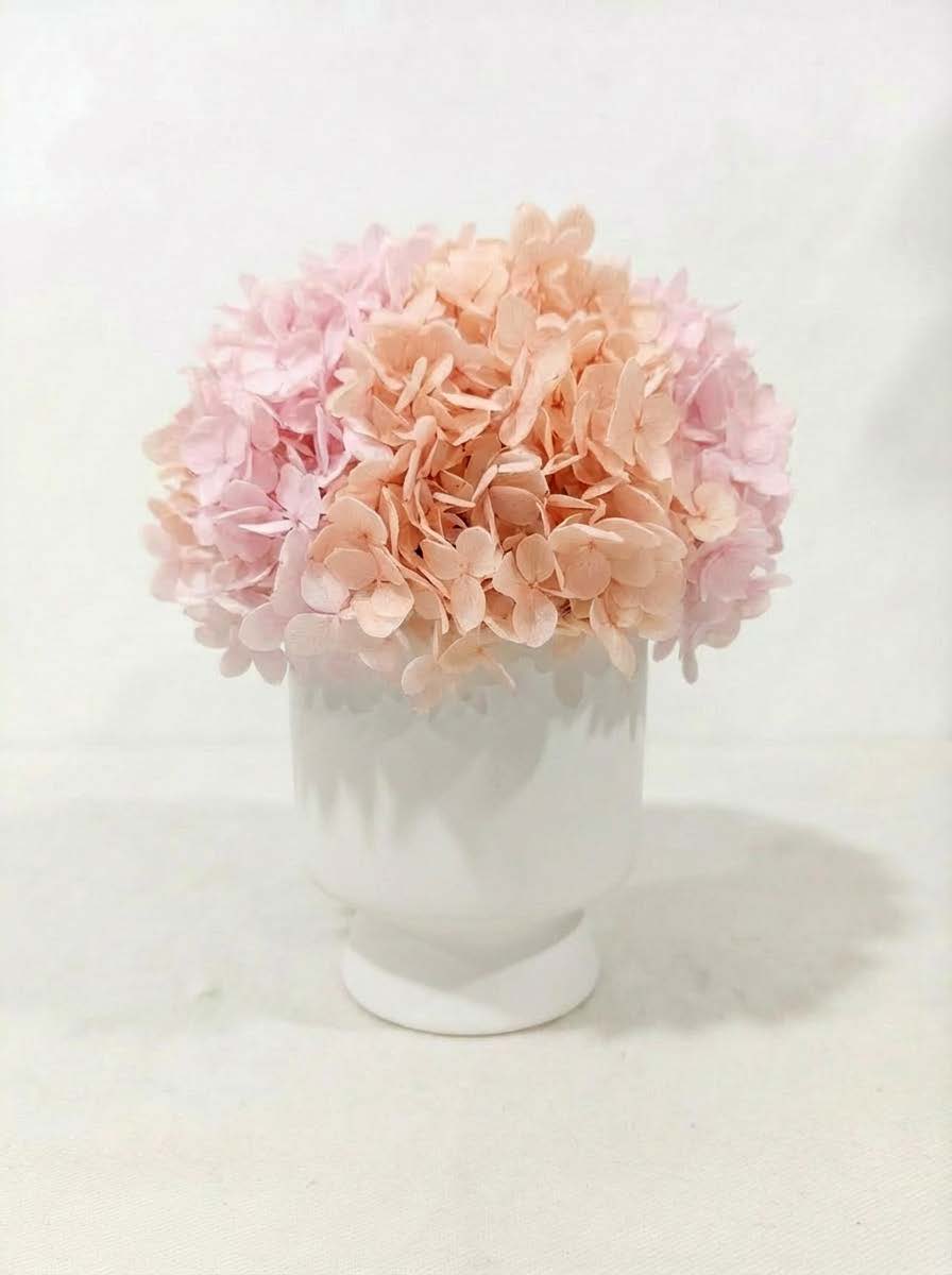 Hydrangea + cup with base