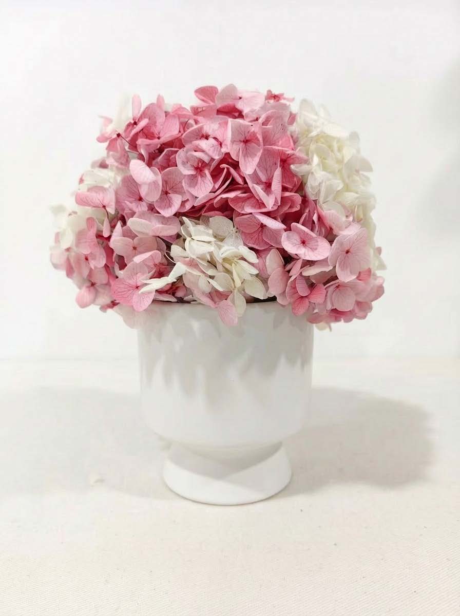 Hydrangea + cup with base