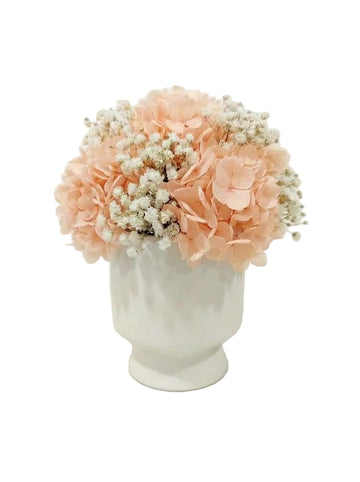 Harmony Set - orange + White