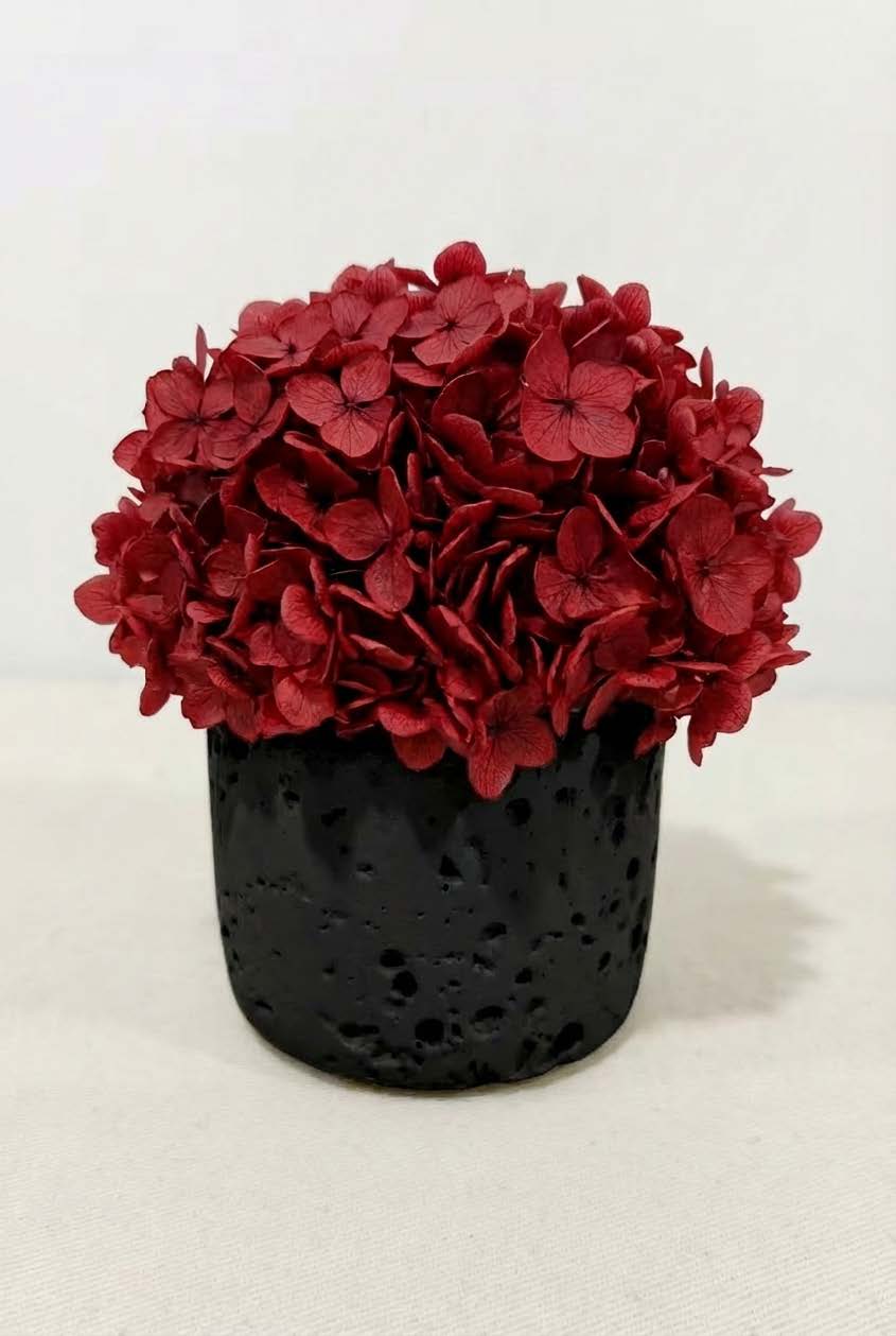 hydrangea + stone base