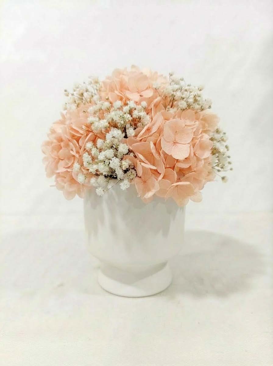 Preserved Hydrangea Flower Arrangement in Modern Vase – Long Lasting Real Hydrangea Gift & Home Decor