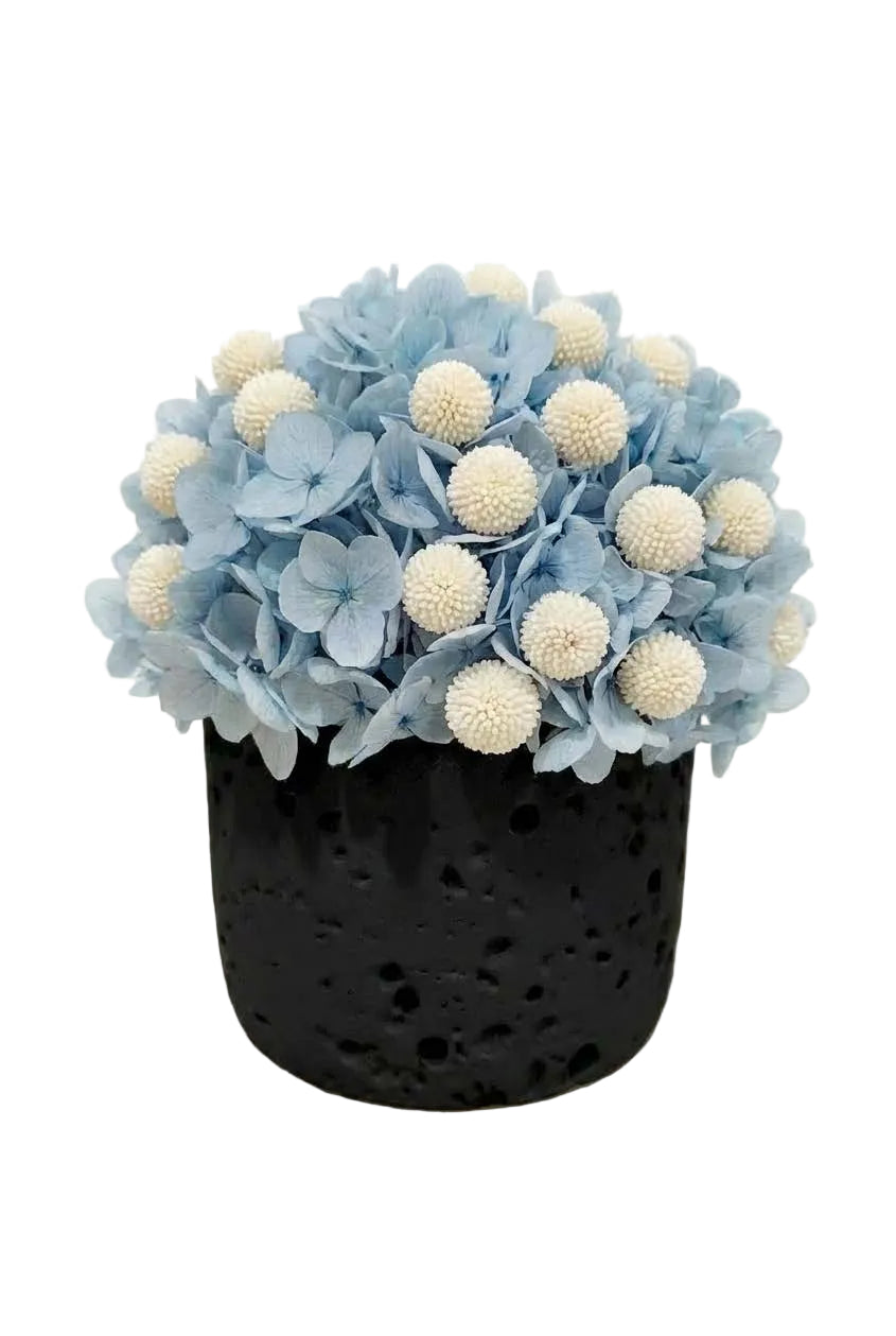 Odyssey Orb - blue hydrangea + white golden ball