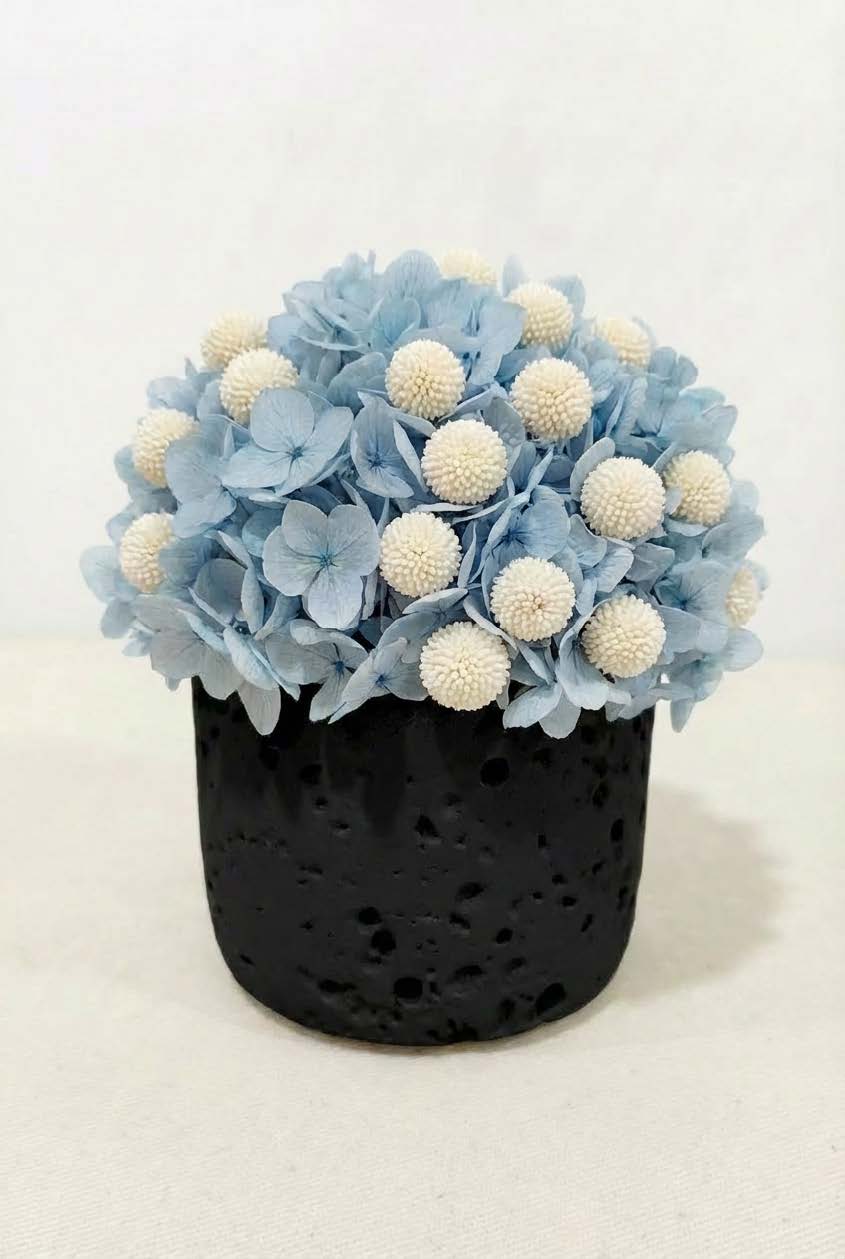 Preserved Hydrangea Floral Arrangement – Minimalist Decorative Eternal Flower