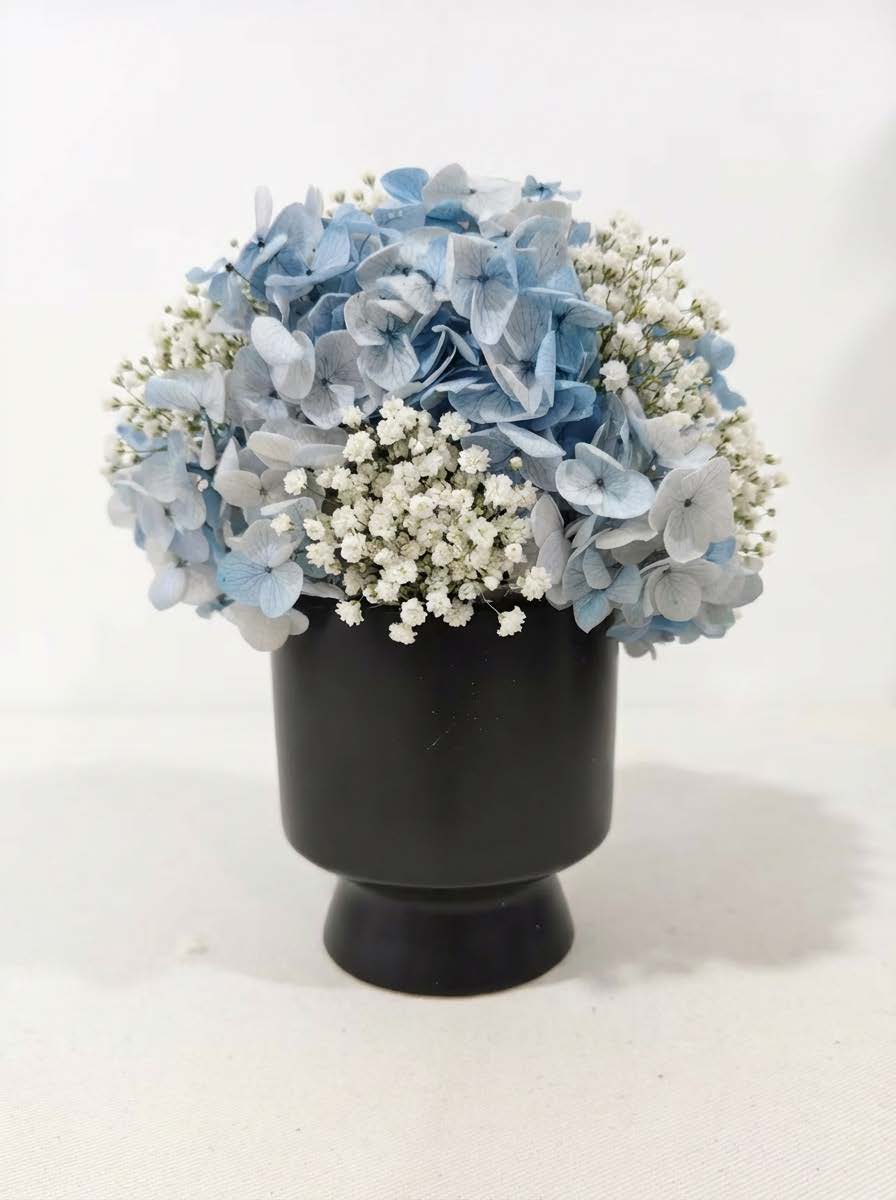 Preserved Hydrangea Flower Arrangement in Modern Vase – Long Lasting Real Hydrangea Gift & Home Decor