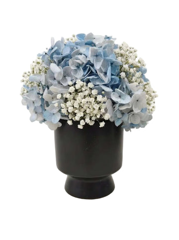 Harmony Set - Blue + White