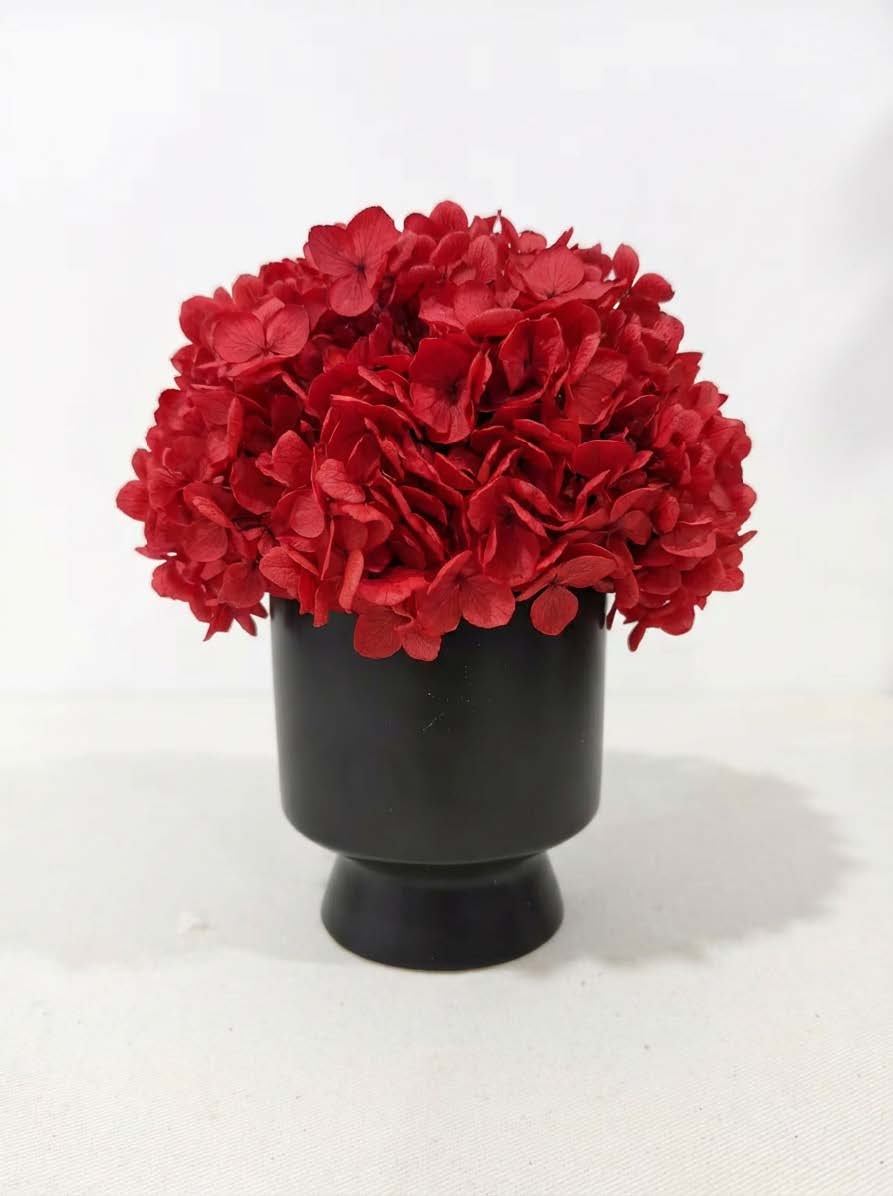 Hydrangea + cup with base