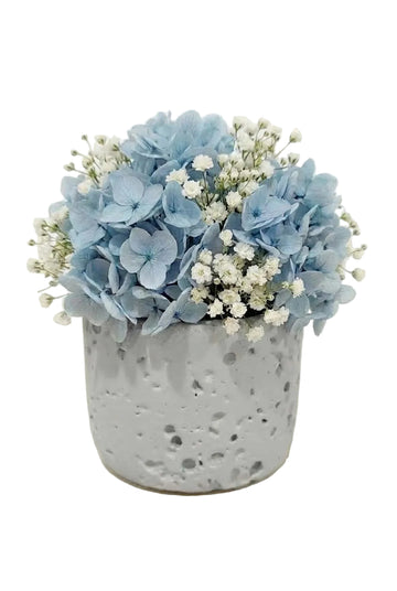 Odyssey Orb - Blue hydrangeas + White baby's breath
