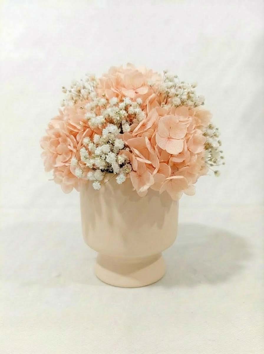 Preserved Hydrangea Flower Arrangement in Modern Vase – Long Lasting Real Hydrangea Gift & Home Decor