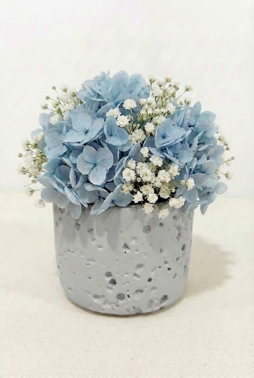 Preserved Hydrangea Floral Arrangement – Minimalist Decorative Eternal Flower