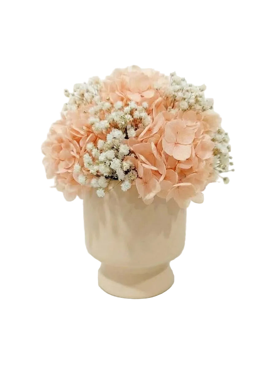 Harmony Set - orange + White