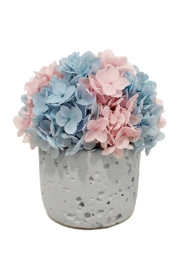 Petal Orb- Pink + Blue