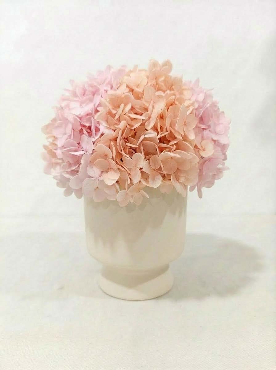 Hydrangea + cup with base