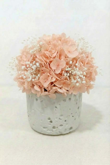 Preserved Hydrangea Floral Arrangement – Minimalist Decorative Eternal Flower