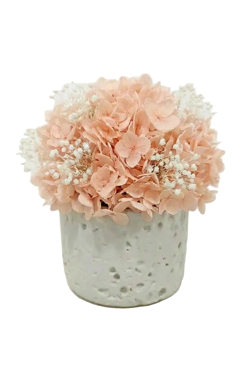 Odyssey Orb - Orange hydrangea + White baby's breath