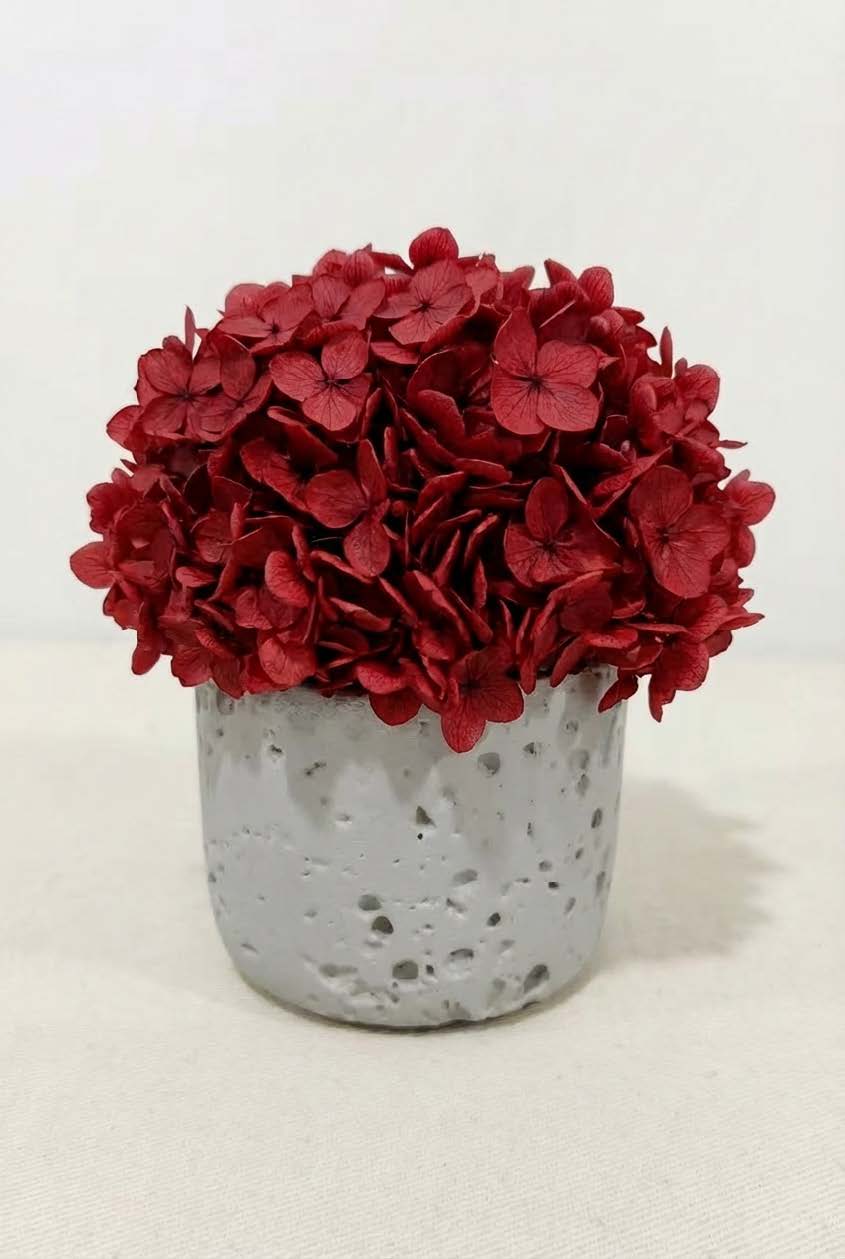 hydrangea + stone base