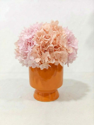 Hydrangea + cup with base