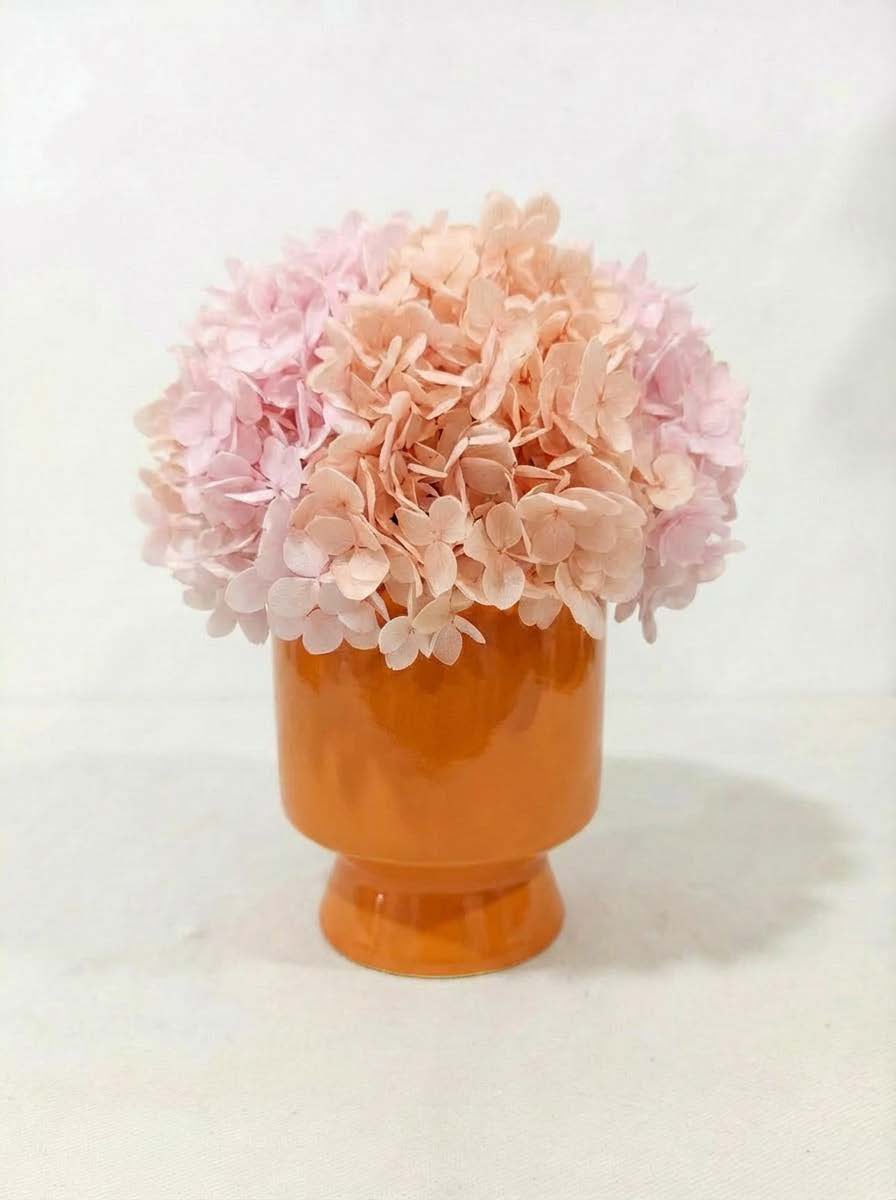 Hydrangea + cup with base