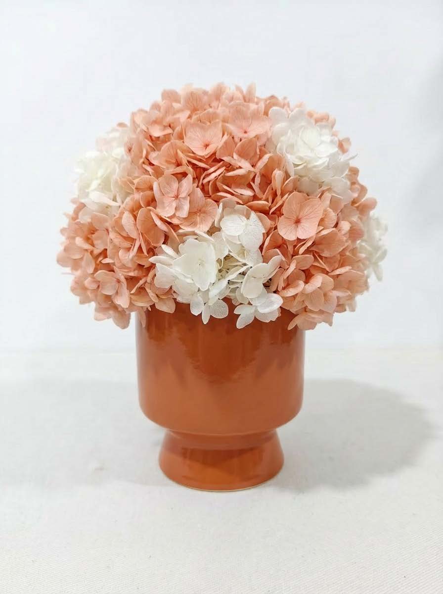 Hydrangea + cup with base