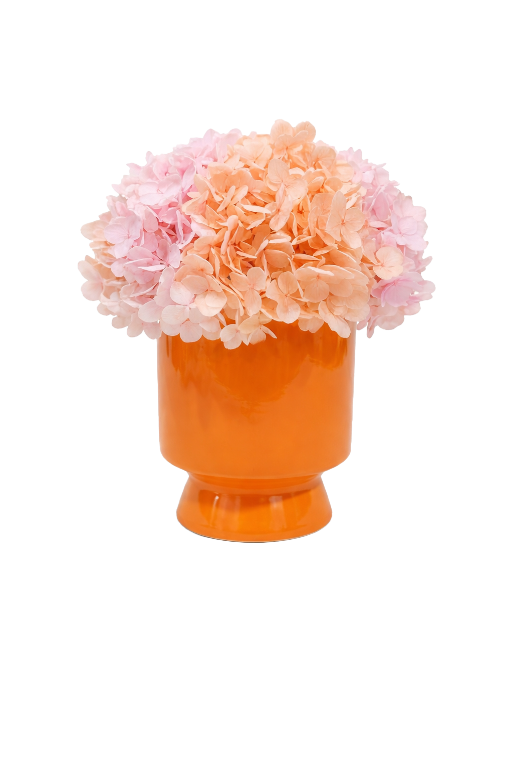 Hydrangea - Pink Hydrangea and Baby's Breath