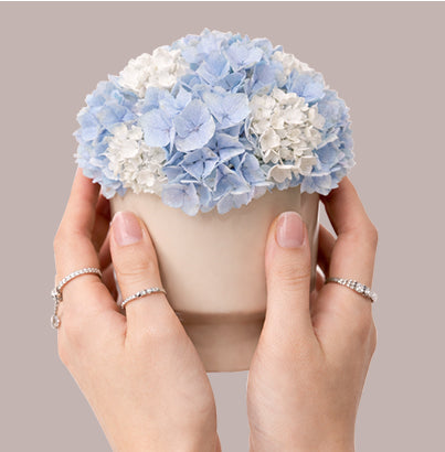Blue Flower Pot